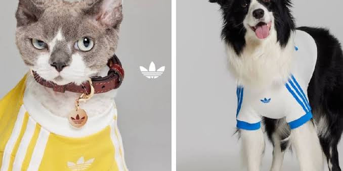 ADIDAS ORIGINALS LANZA COLECCIÓN EXCLUSIVAMENTE PARA MASCOTAS