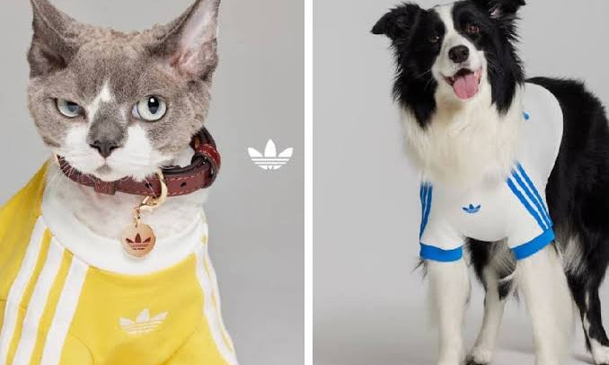 ADIDAS ORIGINALS LANZA COLECCIÓN EXCLUSIVAMENTE PARA MASCOTAS