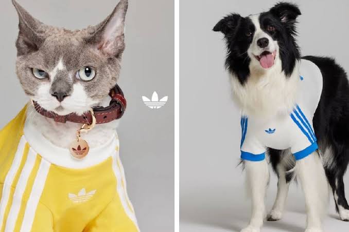 ADIDAS ORIGINALS LANZA COLECCIÓN EXCLUSIVAMENTE PARA MASCOTAS