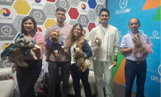 PERREO MASCOTAS: MARCA DE TERNOS PARA PERRITOS QUE LLEGÓ A LA TV NACIONAL