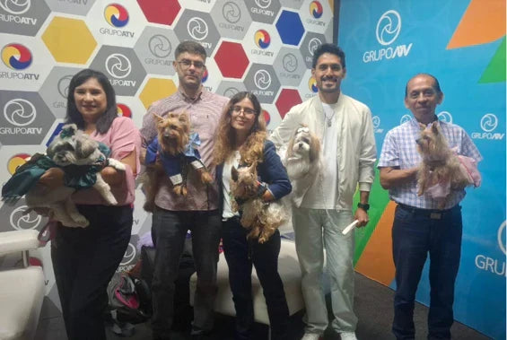 PERREO MASCOTAS: MARCA DE TERNOS PARA PERRITOS QUE LLEGÓ A LA TV NACIONAL